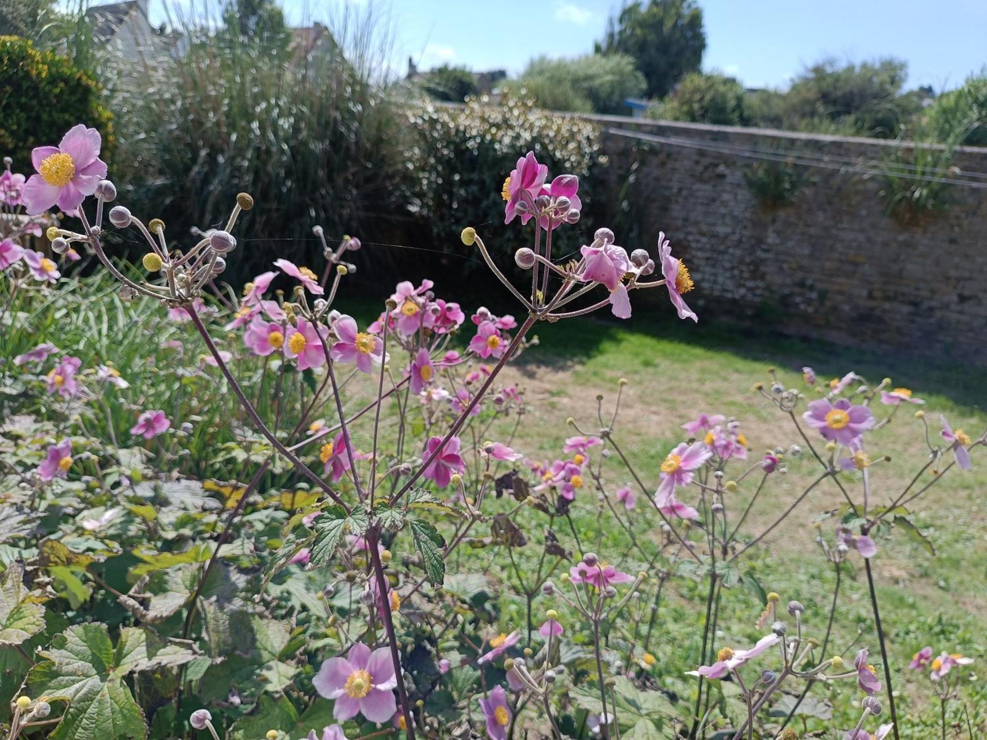 Villa Belle Vie A 30 Metres De La Plage Ver-sur-Mer 外观 照片